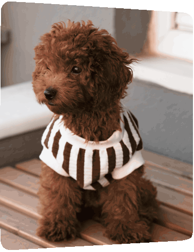 Customer-Image-2